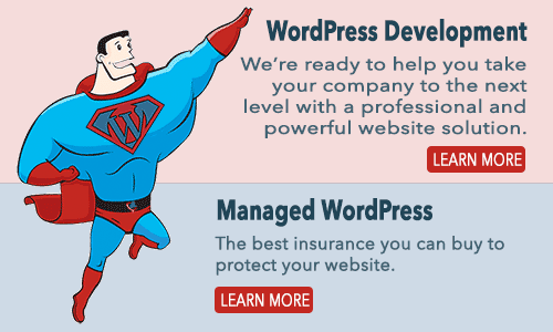 Wordpress development company in Chennai specializing in web design.
