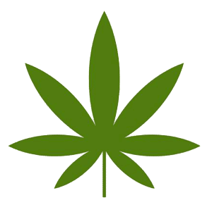 cannabis friendly web hosting