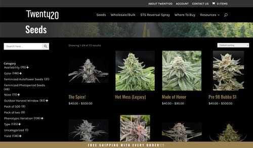 A web developer creates and hosts a WordPress page for a cannabis store.
