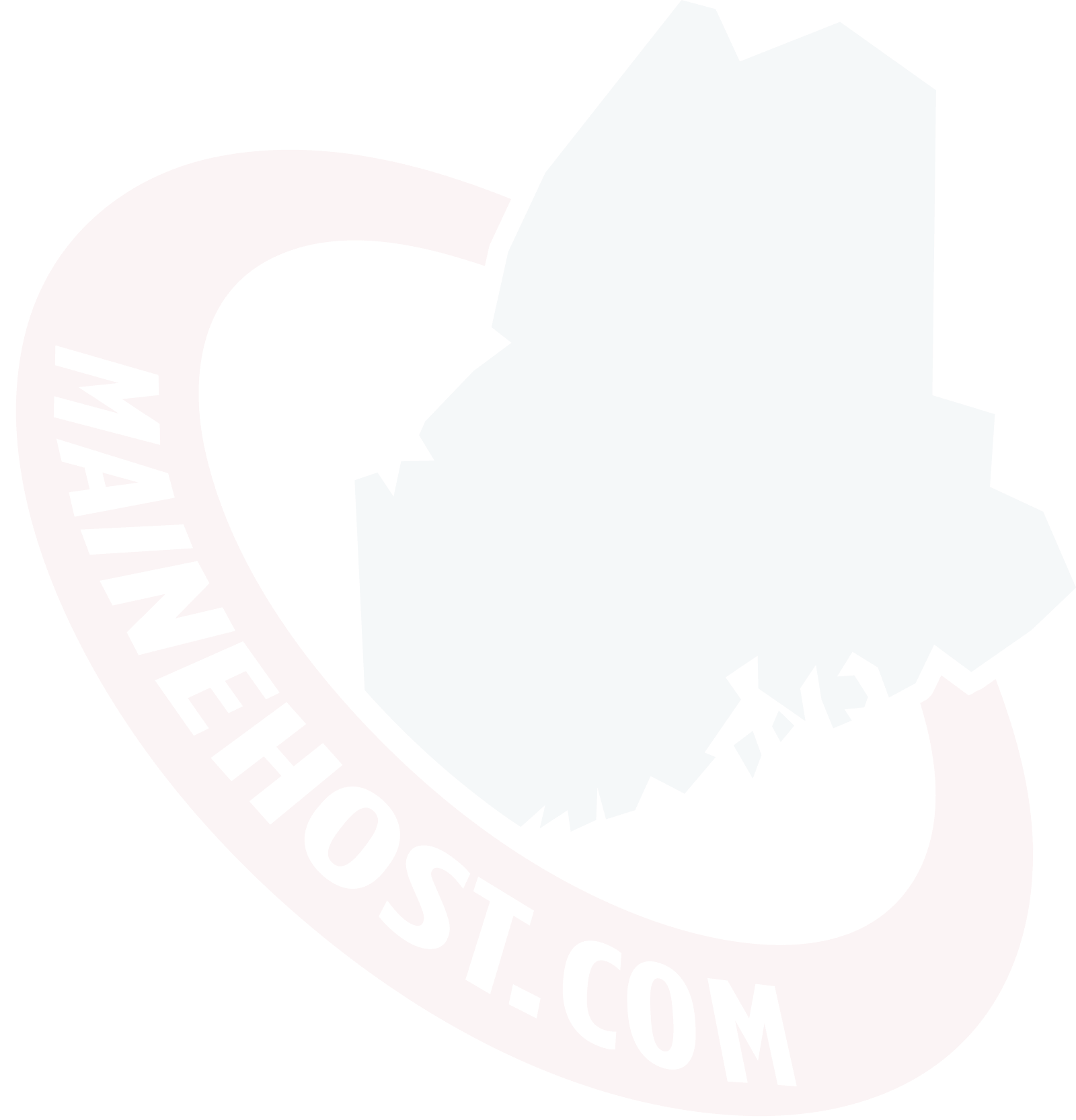 MHS Web Hosting Logo BG